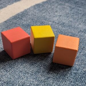 Lovevery Wooden Block Set